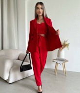 Женский брючный костюм тройка  ANA-1492A21