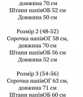 Мужской летний костюм IND-7003A550