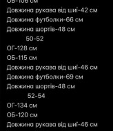 Костюм футболка и шорты мужские AP-1120A520