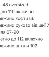 Велюровый женский спортивный костюм INNA-750A640