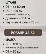 Прогулочный костюм двойка PIK-017A600