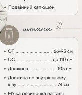 Спортивный костюм брюки+кофта RAB-745A769