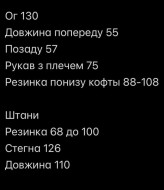 Замшевий спортивний костюм SOLO-285A1050