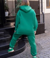 Костюм спортивный теплый женский NJ-EY-579A700