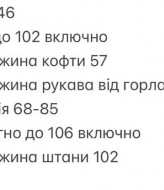 Спортивный костюм теплый женский   INNA-752A620 Спортивный костюм теплый женский   INNA-752A620