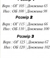 Спортивный костюм EFR-169A450