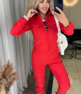 Женский костюм двойка IND-2054A550