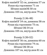 Женский вельветовый костюм IND-2084A600