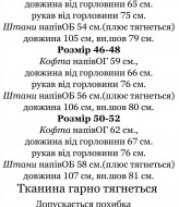 Флисовый спортивный костюм IND-3013A600