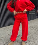 Спортивный костюм женский флис   JAC-813A610