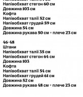 Костюм трехнитка на флисе  REM-100A570