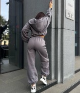 Костюм трехнитка на флисе  REM-100A570