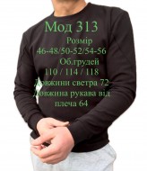 Чоловічий світшот VGA-313A480