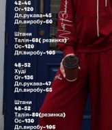 Спортивний костюм з вишивкою EST-8005.1A1490