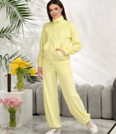 Велюровый костюм NOB-26020A550