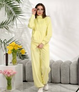 Велюровый костюм NOB-26020A550