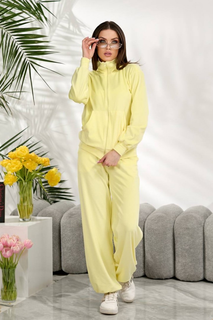 Велюровый костюм NOB-26020A550