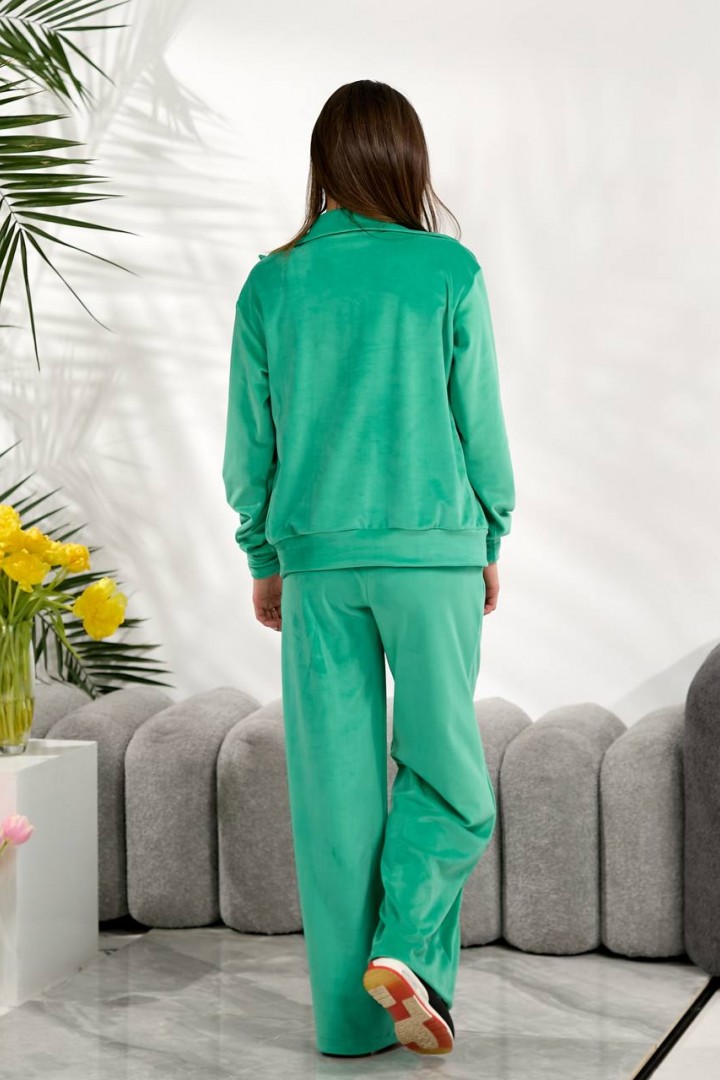 Велюровый костюм NOB-26020A550