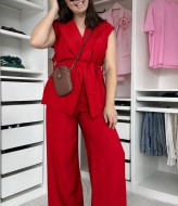 Костюм брюки и жилет RED-rs166A700