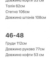 Велюровий костюм з вишивкою BER-752A750
