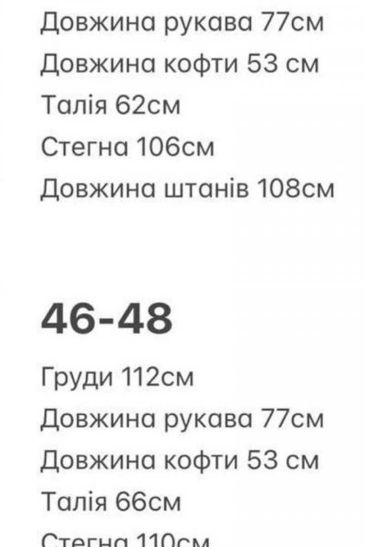 Велюровий костюм з вишивкою BER-752A750