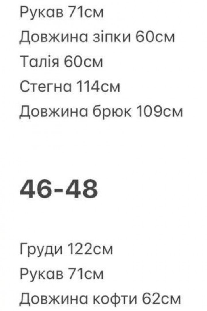 Велюровий костюм з вишивкою BER-766A780