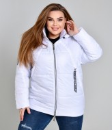 Классическая куртка KYB-8332A26