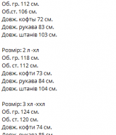 Мужской костюм VM-10497.1A590