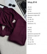 Костюм на флисе JAC-814A560