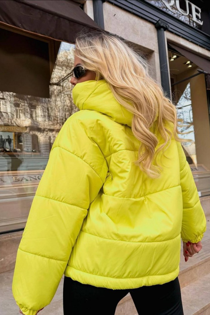 Жіноча куртка LID-530A1200