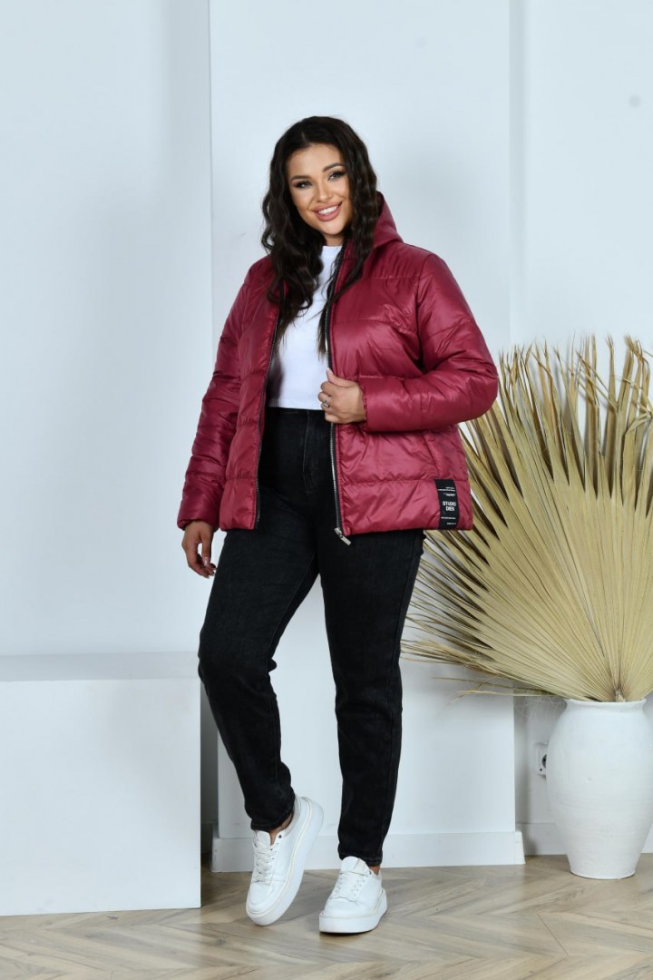 Демисезонная куртка NDP-9932A690