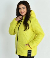 Демисезонная куртка NDP-9932A690