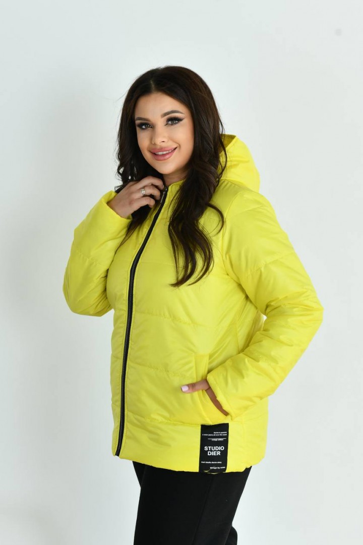 Демисезонная куртка NDP-9932A690