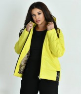 Демисезонная куртка NDP-9932A690