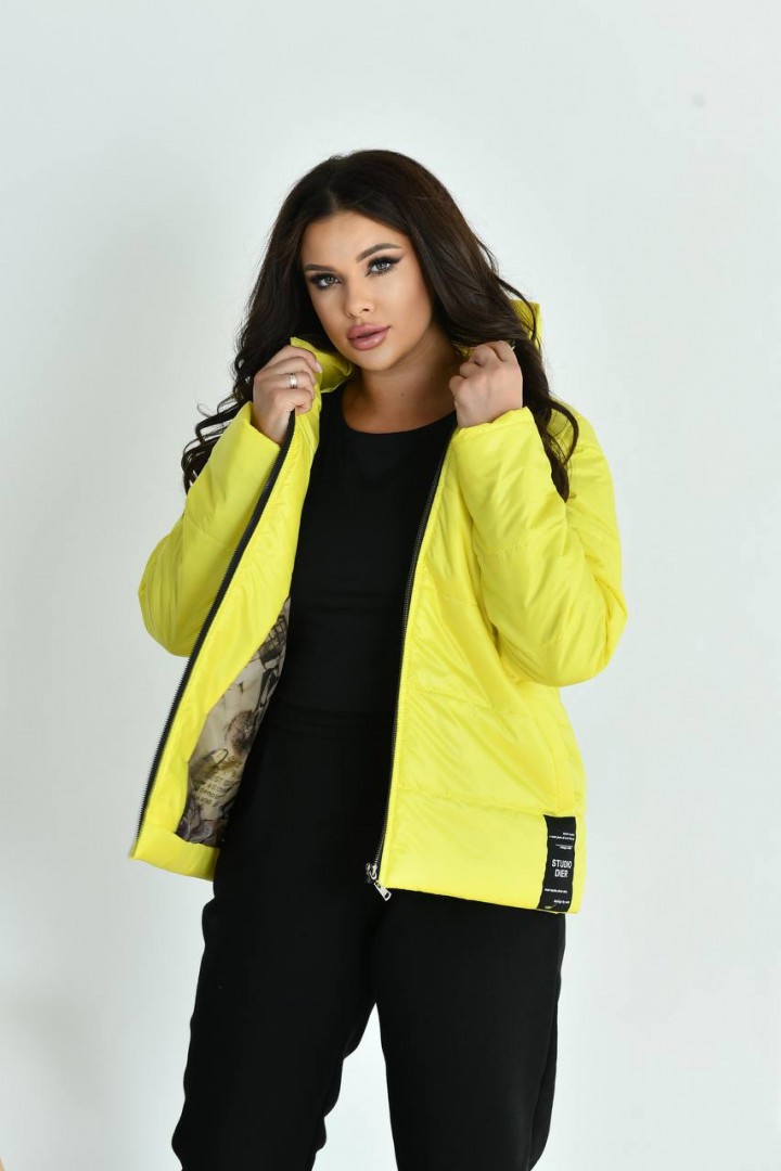 Демисезонная куртка NDP-9932A690