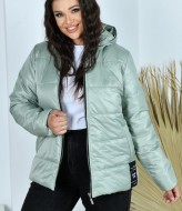 Демисезонная куртка NDP-9932A690