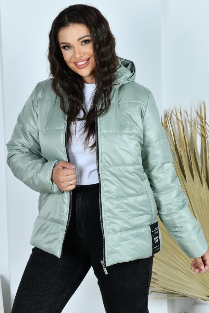 Демисезонная куртка NDP-9932A690