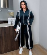 Велюровый спортивный костюм AD-7930.1A600