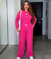 Прогулочный костюм двойка AD-7988.1A480