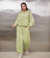 Велюровый женский спортивный костюм  IS-190A1250