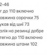 Прогулочный костюм двойка INNA-766A830