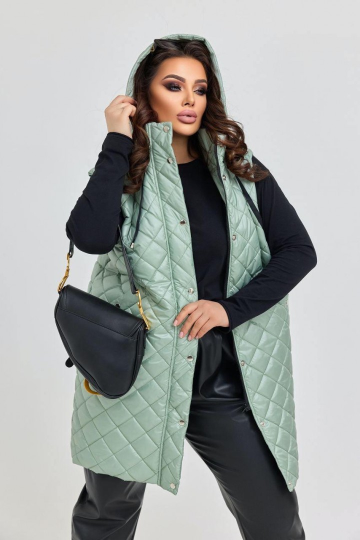 Стеганый жилет RIL-0474A21