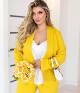 Костюм пиджак и брюки AB-1799A18