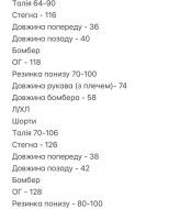 Легкий спортивный костюм SOLO-283A1000