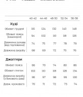 Спортивный костюм трикотаж мужской VTI-7717.1A1080B1170