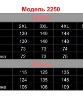 Спортивный костюм RZ-2250A1250