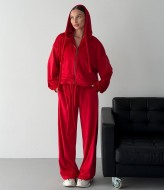 Велюровый костюм LID-668A1000