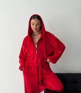 Велюровый костюм LID-668A1000