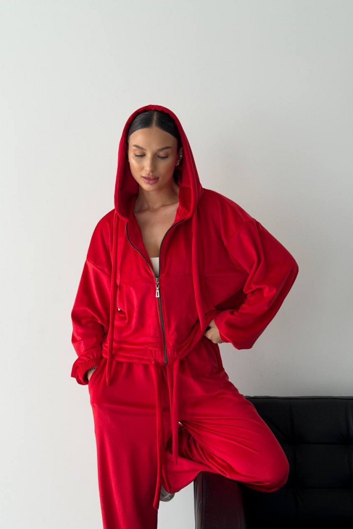 Велюровый костюм LID-668A1000