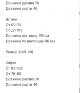Велюровый костюм BOT-279A509